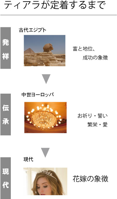 ティアラが定着するまで